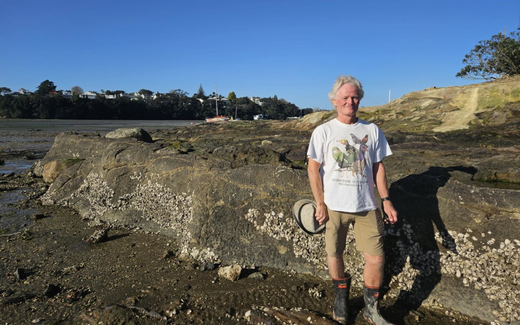 John Valentine standing at Pipers Point at low tide, below the sea wall and edge of the Rawene Avenue property, where the helicopter is proposed to land.