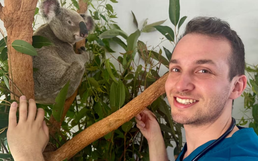 Julien Grosmaire says the vaccine is another tool to help protect koalas.