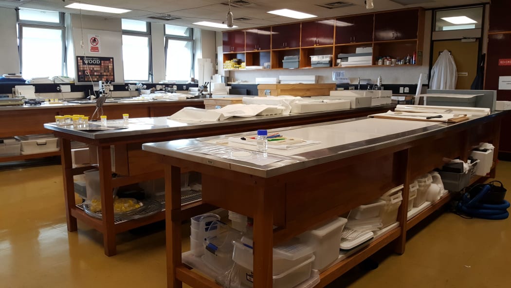 The 'wet organics' conservation laboratory at the University of Auckland houses three specially built tanks for treating waterlogged artefacts made from wood or fibre.