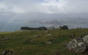 View south across Blueskin Bay from near the proposed wind farm site, with the settlement of Doctors Point scattered along the inlet's southern shoreline.