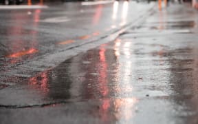 Wellington Rain
