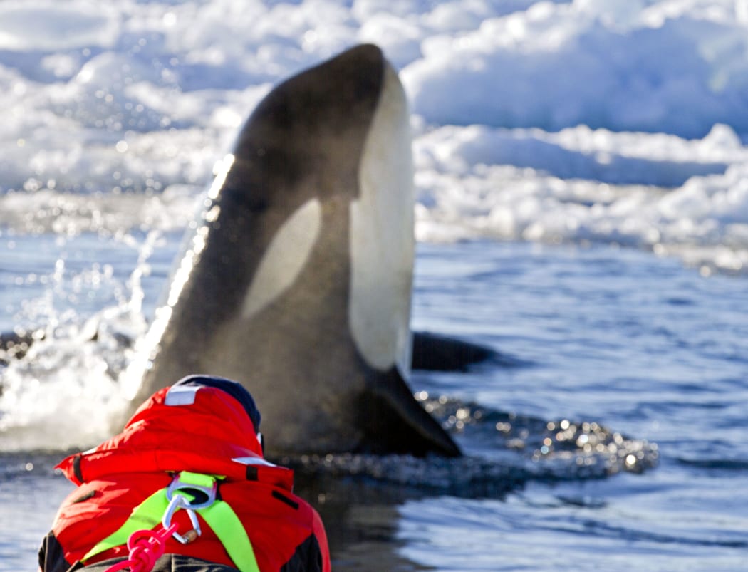 Orca and Regina Eisert, edge of sea ice at Scott Base