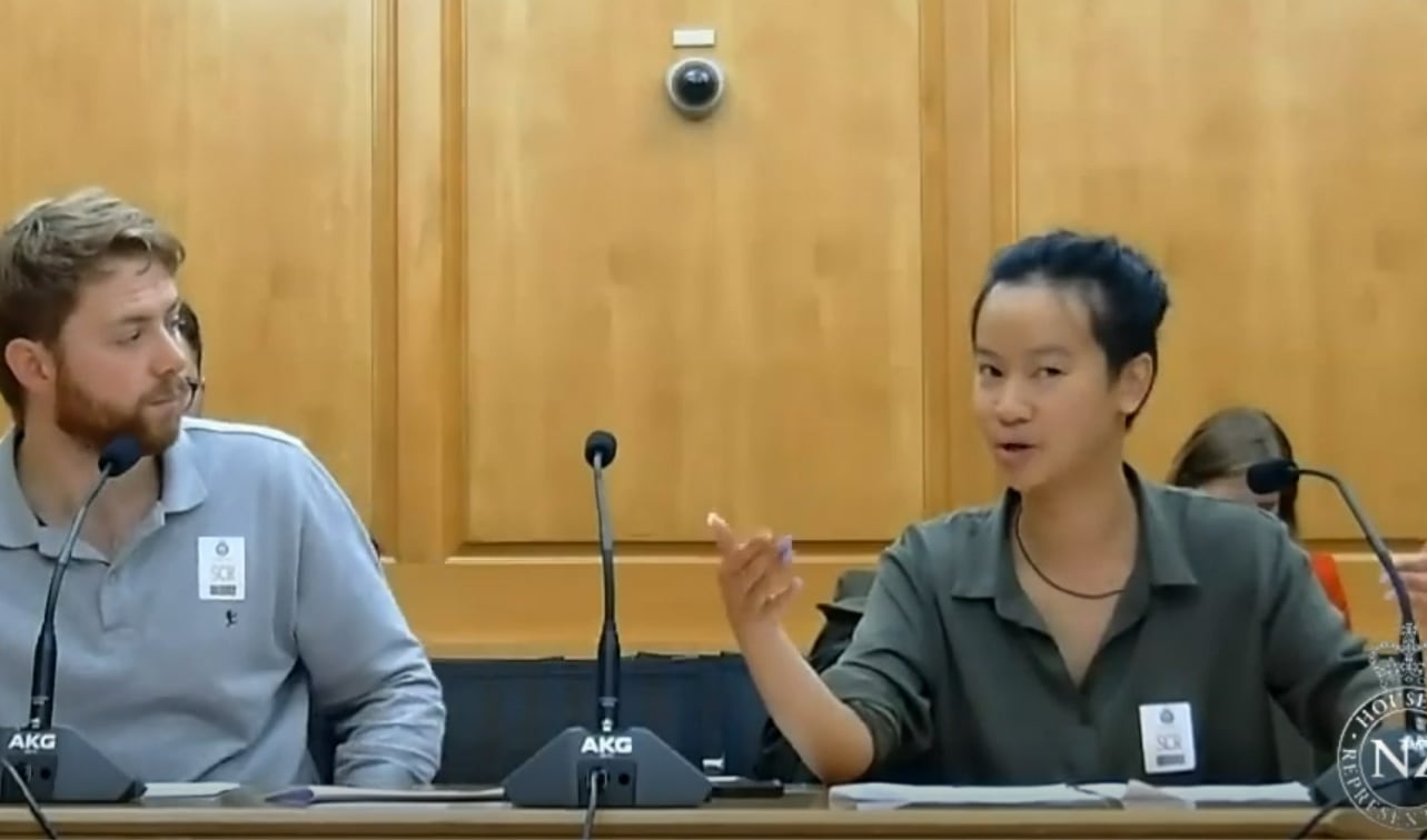 VUWSA President Michael Turnbull (left) and former engagement Vice President Joanna Li (right) speak to the Education and Workforce Committee about support for students employed by Universities as RAs