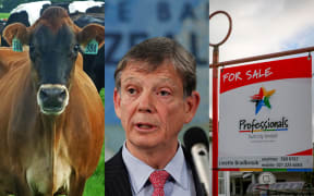 Dairy and property prices pose the biggest risks to the financial system