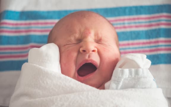Baby, about a day old.