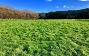 The land on which the development will be built.