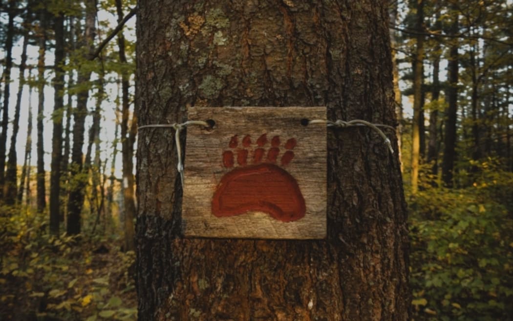 Bear trail