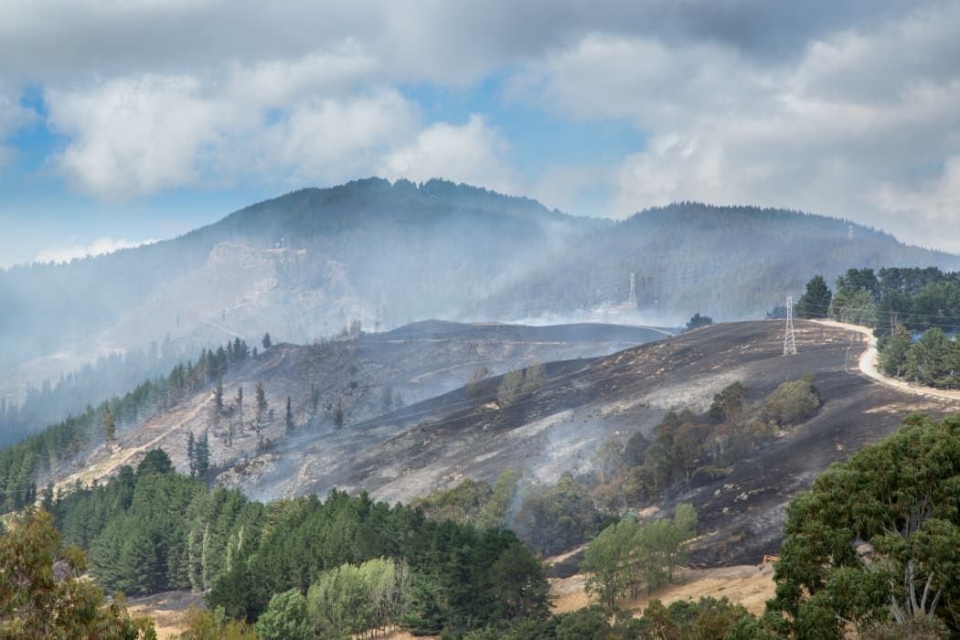 Logan McMillan pics: Port Hills fire remains  on Thursday 16 February 2017.