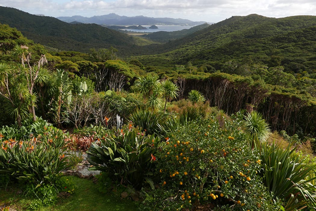Windy Hill, Great Barrier Island
