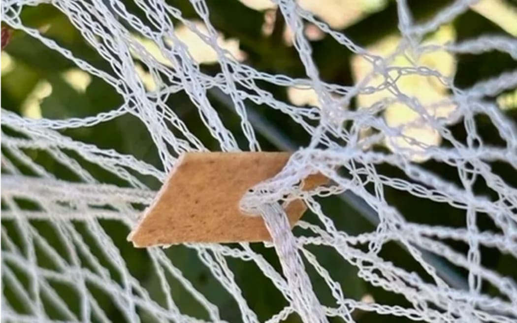 PolyNatural biodegradable vine clip