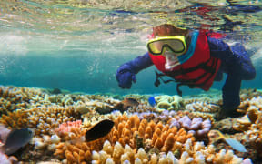 Great Barrier Reef, Queensland.