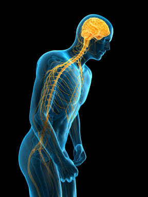 Parkinson's disease can invade from the intestines.