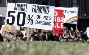 Banners arriving at a Climate Strike protest at Parliament. The foremost banner reads "Animal Farming 50% of NZ's Emissions"