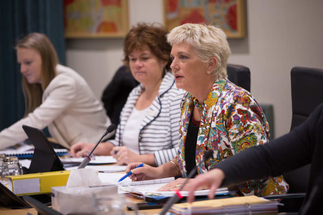 Penny Bright attending a Council development committee meeting about Unitary Plan. 10 August 2016.