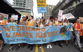 Students in Wellington marched to Parliament to protest against climate change.