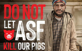 NAQIA African Swine Fever awareness material.
