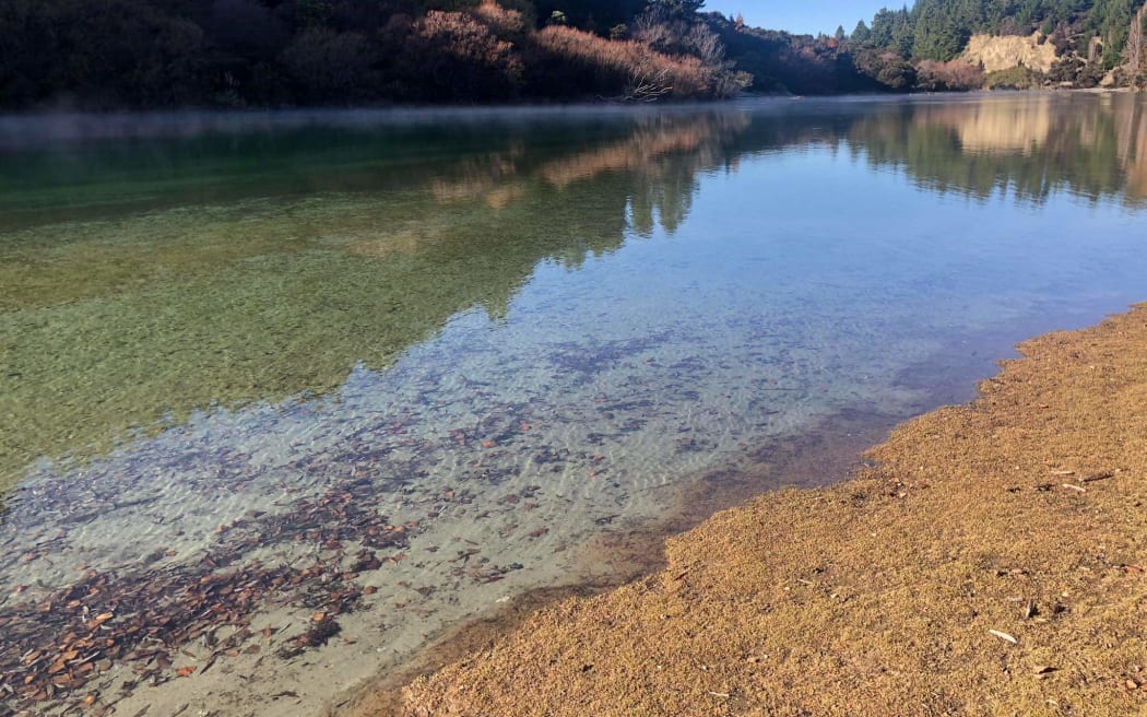 Clutha River