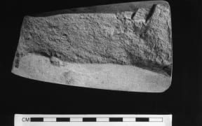A stone adze/axe which was geochemically analysed to show how far Tongan influence extended in the past.