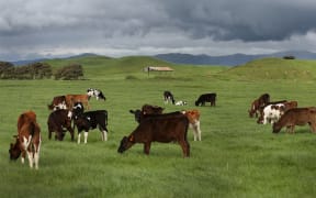 Federated Farmer's Manawatu-Rangitikei