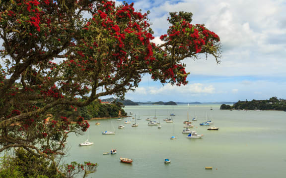 Opua, in the Bay of Islands.