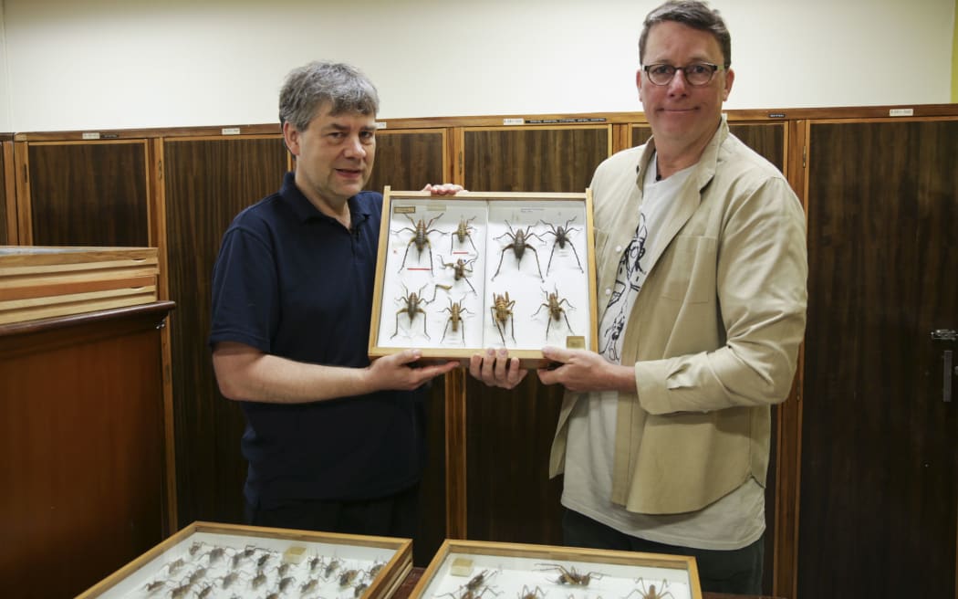 Te Papa entomologist Phil Sirvid and Sir Richard Taylor with some of the specimens in the museum's collection.