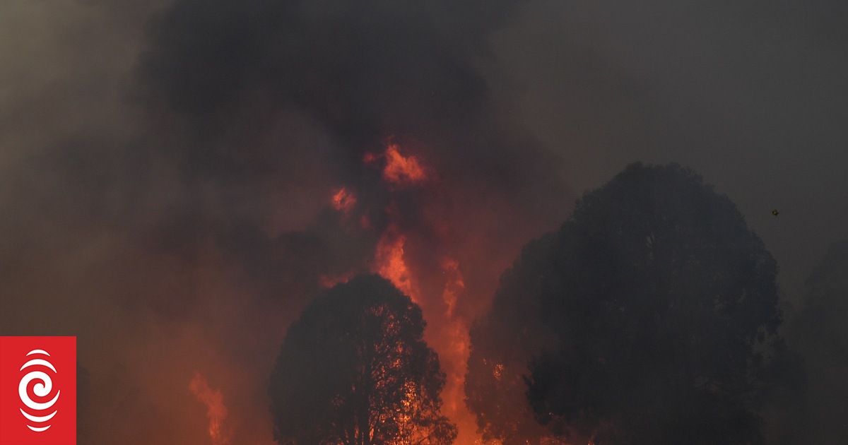 www.rnz.co.nz