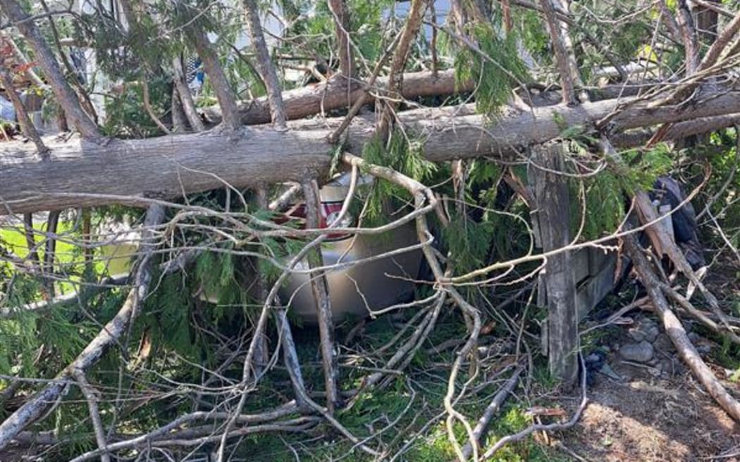 Graeme Burnard's beloved 22-year-old Lexus had been crushed by a tree in Wairarapa.