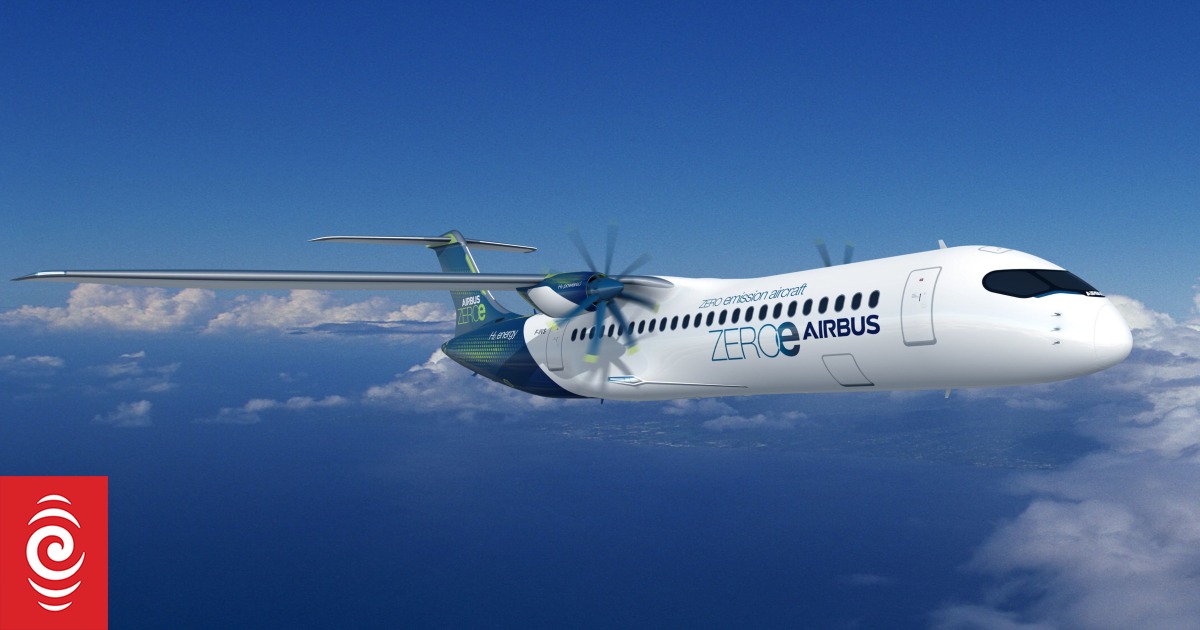 Air New Zealand outlines path to reach net zero carbon emissions by 2050 RNZ News
