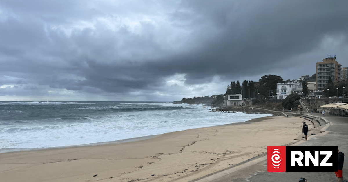 Woman attacked by shark at popular Sydney beach