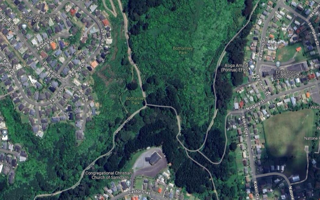 Raw sewage is spilling into a stream in Porirua's Bothamley Park.