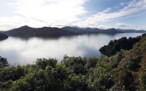 Tennyson Inlet, in the Marlborough Sounds
