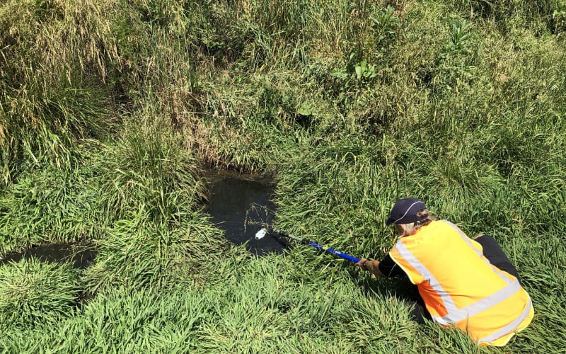 Waikato farmers told to check effluent management systems or face ...