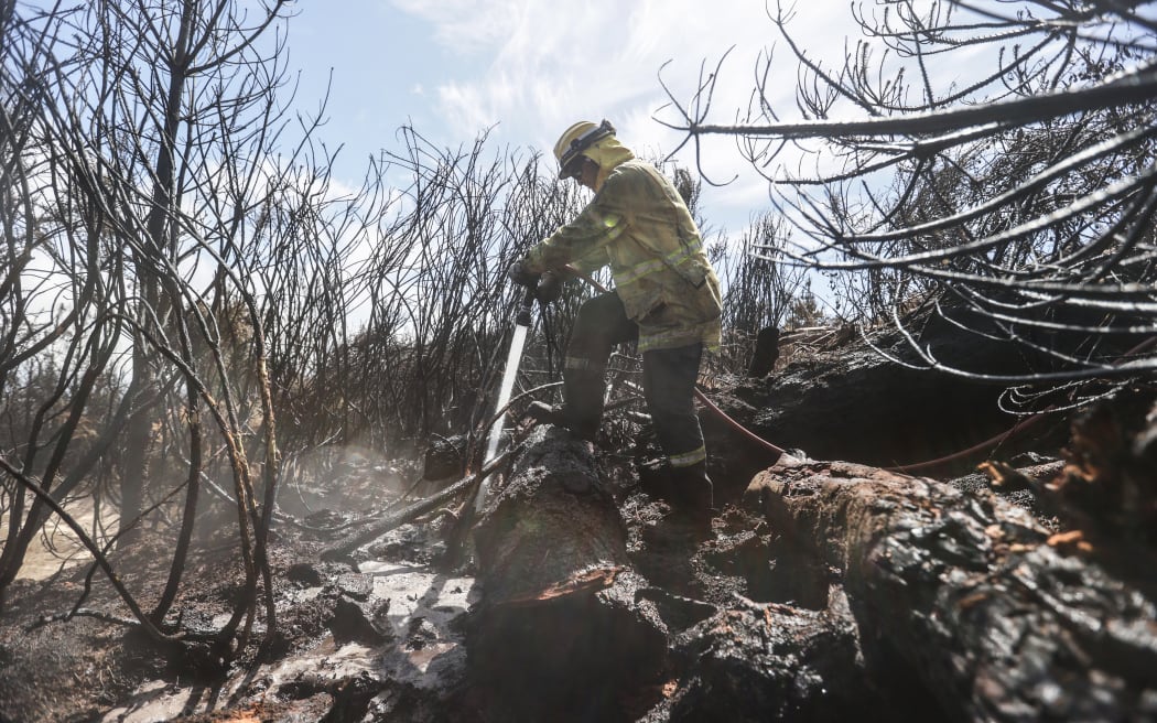 170224 CHRIS SKELTON / POOL
Firefighters continue their efforts on Saturday as they work to dampen down remaining hot spots and create a buffer zone around the 24km perimeter fire ground in Christchurch's Port Hills.