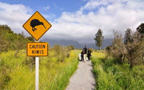 Fewer New Zealanders are choosing to seek permanent residency in Australia.
