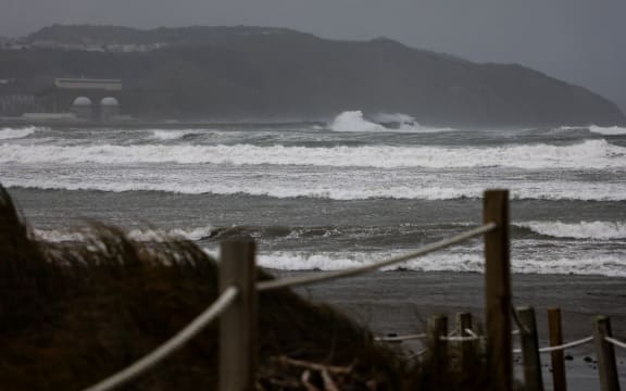 Lyall Bay