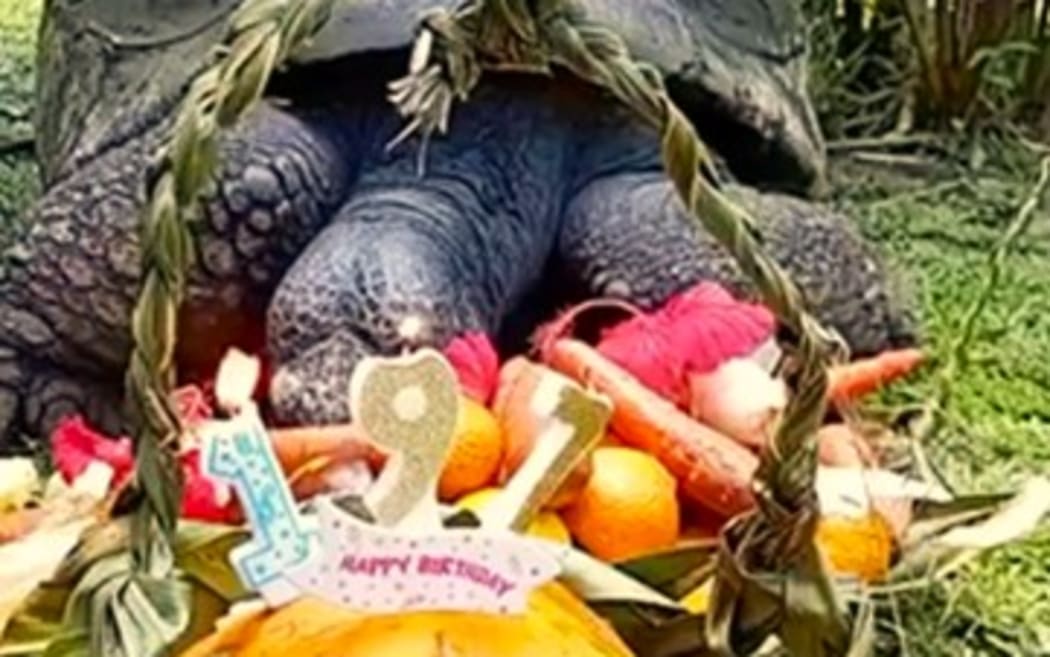 Tahiti’s turtle Te Ara Ui celebrates her 197th birthday