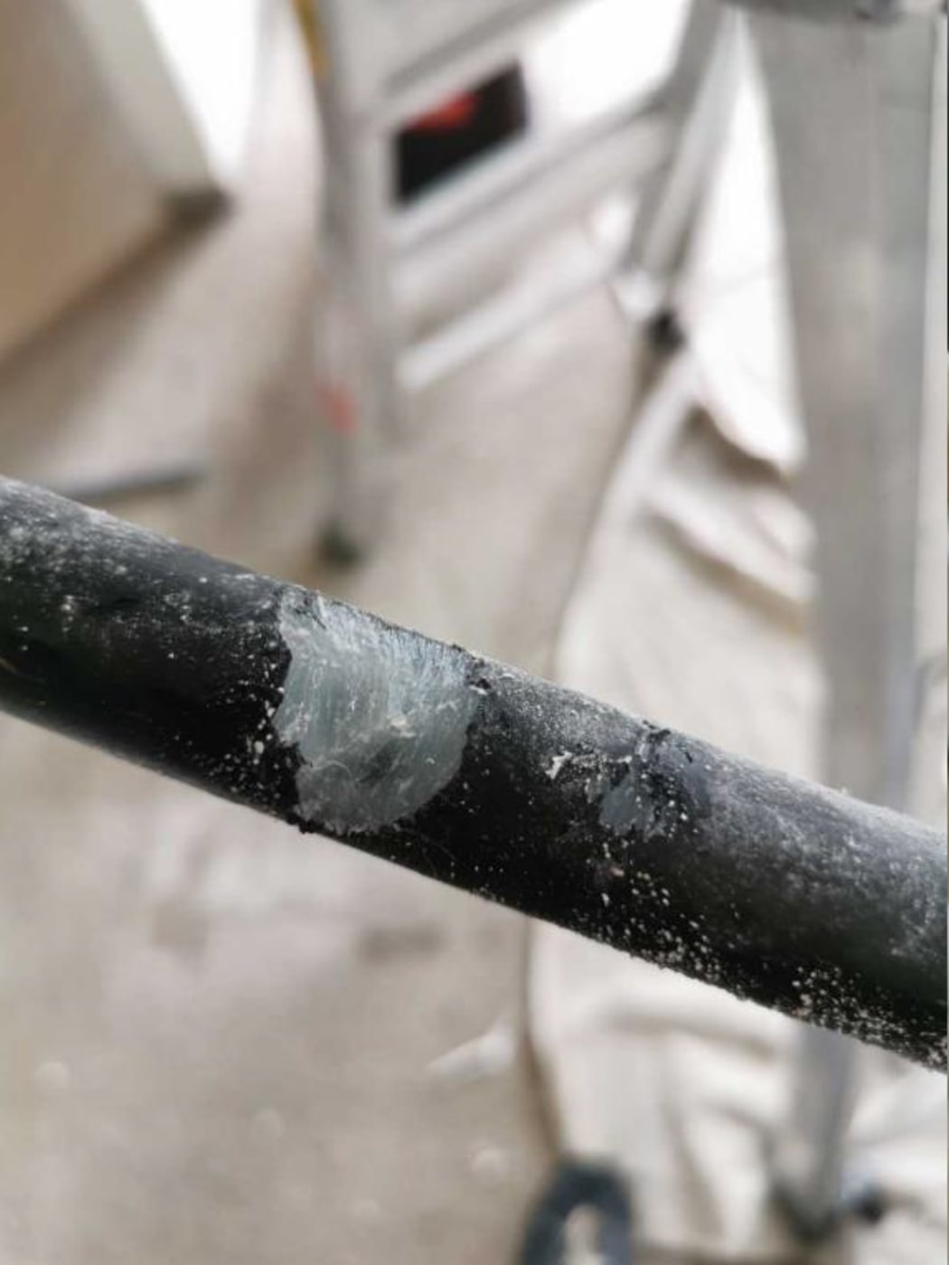 The leak started  after rats chewed through a water pipe.
