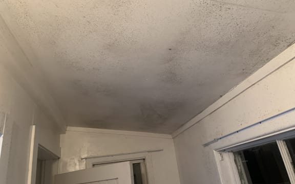 Mould covers the walls and ceilings of home on Wellington's Mt Victoria currently advertised to be rented out for $1200 per week.