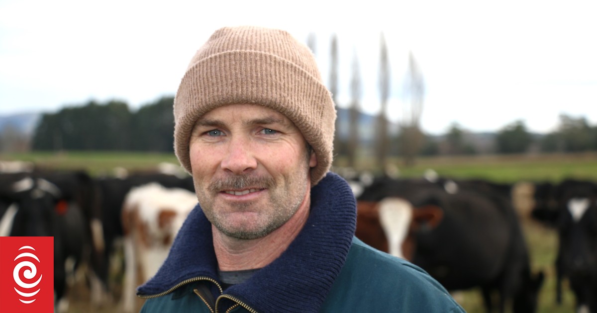 Compost replaces chemical fertilisers on South Otago dairy farm | RNZ