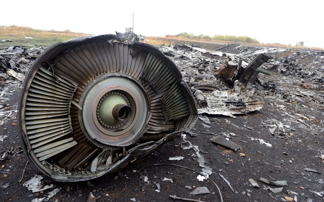 A file photo taken on 9 September 2014 shows part of the Malaysia Airlines Flight MH17 at the crash site in the village of Hrabove, some 80km east of Donetsk.