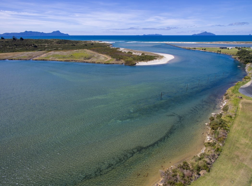 Waipu Estuary.
