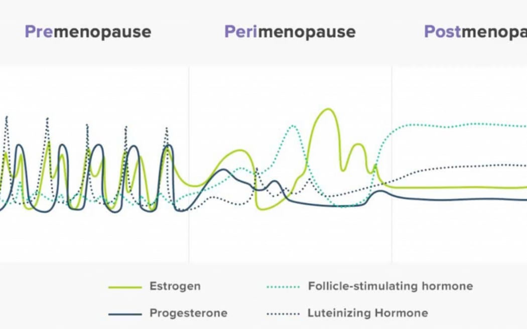 Menopause can cause significant hormonal changes. However, 15-20% of women will not be affected by them.