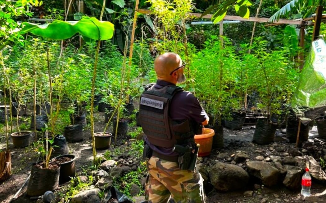 French Polynesia’s Gendarmes have carried out a major operation against drug traffic from 15 to 24 March 2024.
