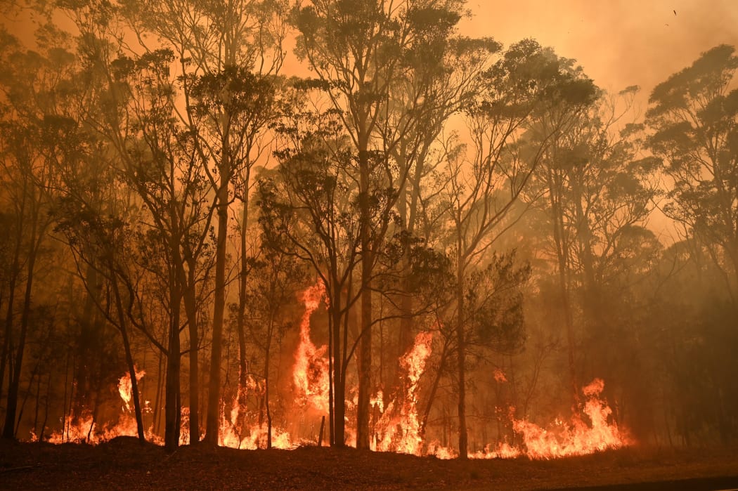 A bushfire burns in the town of Moruya, south of Batemans Bay, in New South Wales on January 4, 2020.