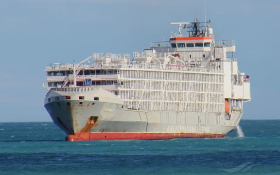 Gulf Livestock 1 vessel off the shores of Malaga in 2018.
