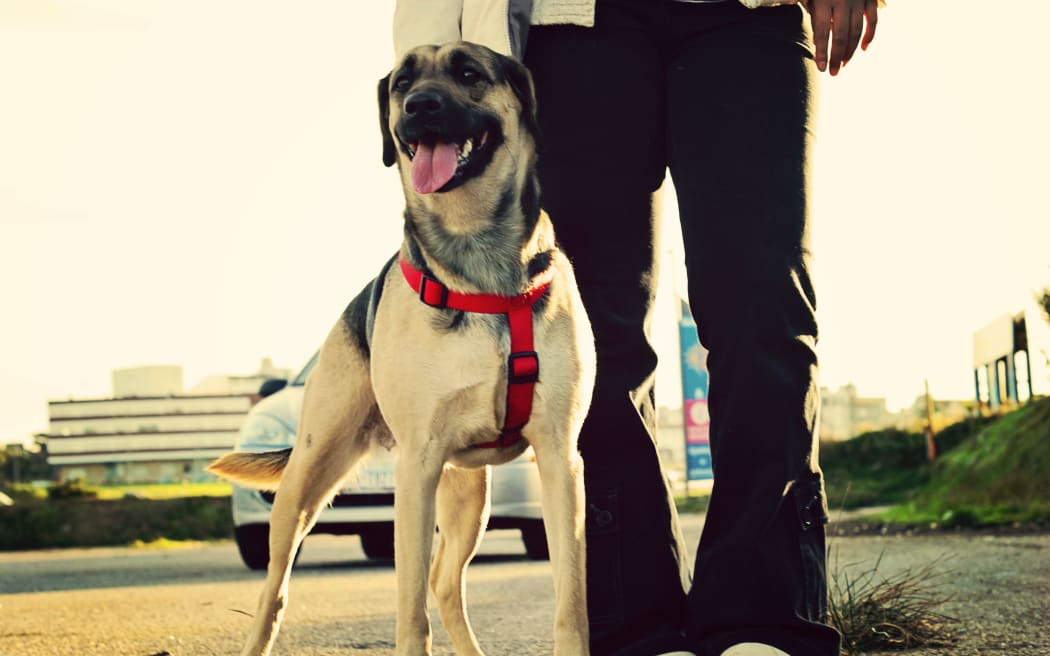 Susan Mellsop said taxi drivers refuse to take them or demand a fare for the guide-dog as well.