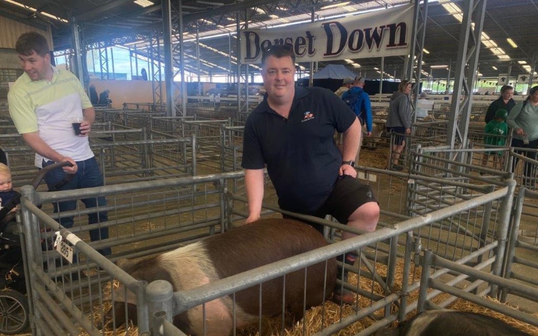 Boar Breeders Association president Sean Spencer poses with a pig at the NZ Agricultural Show in 2023.