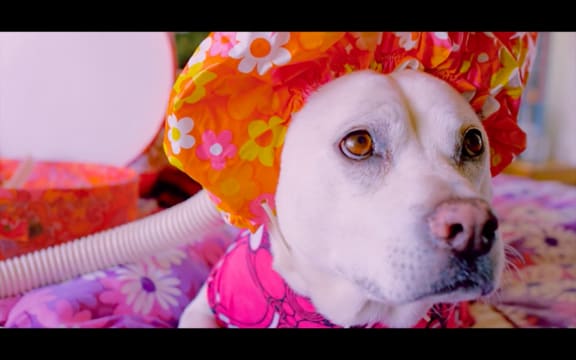 Still from 'Man Says' by Carb on Carb