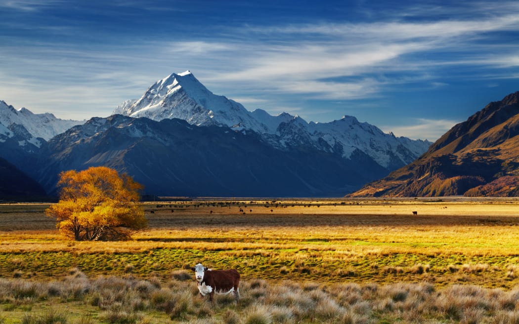 Farm land near Mt Cook, Canterbury.