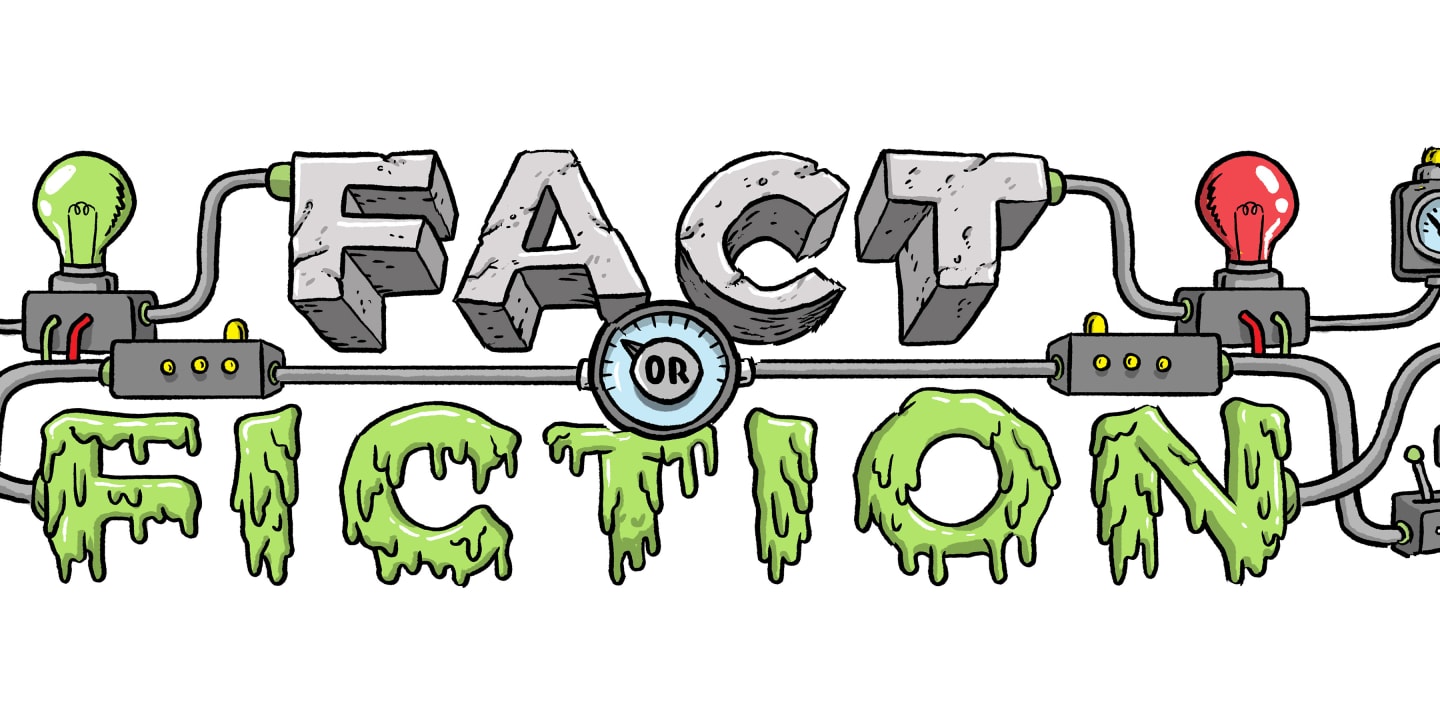 Graphic for Election17 - Fact or Fiction